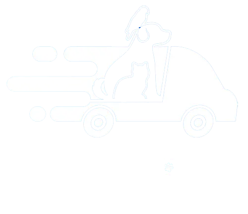 Transporte de mascotas MARTÍN