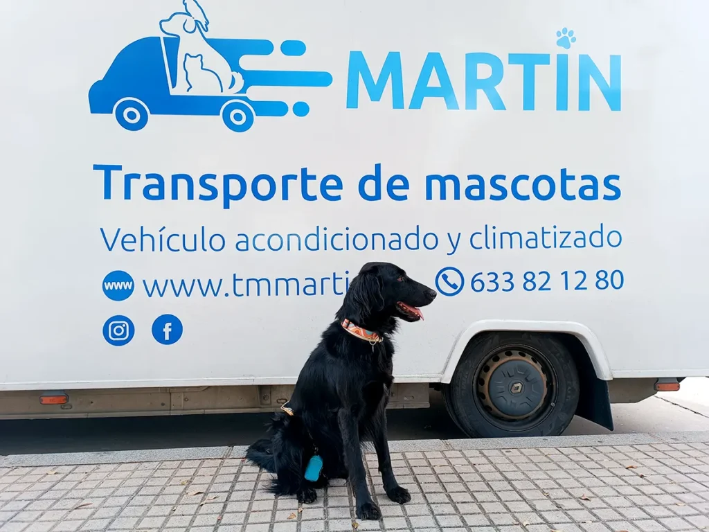 Clientes satisfechos